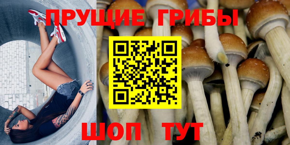 Галлюциногенные грибы ЛСД  Вход с VPN  Мариинск  Галлюциногенные грибы Magic Shrooms 